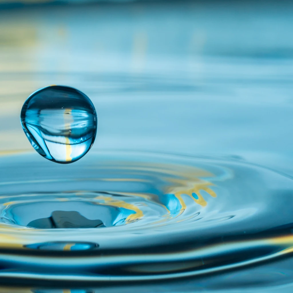 59_Product_Area 5_Details-min.jpg