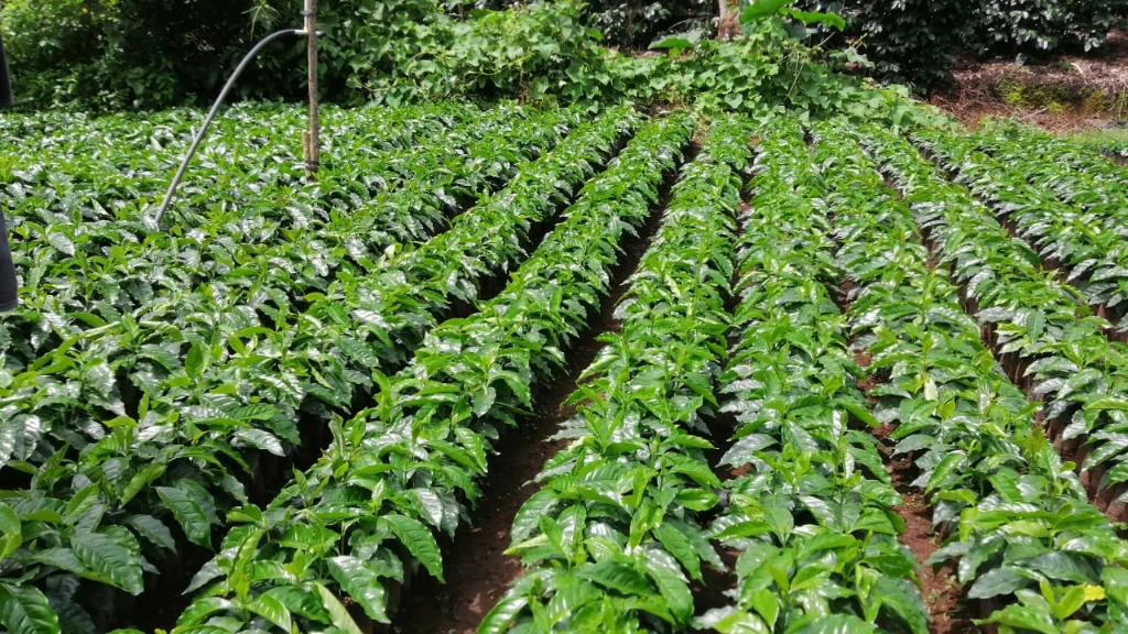 WhatsApp Image 2022-09-13 at 2.13.55 PM (1).jpeg